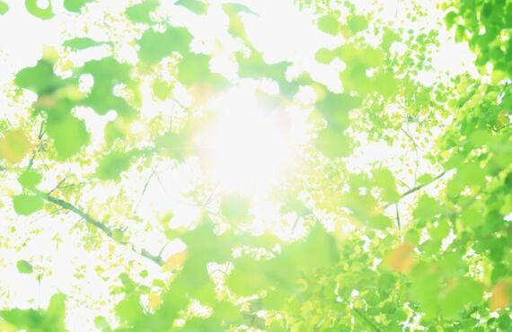 東大阪市の照明に関する工事はお任せください！｜電気工事全般のご相談なら東大阪市の株式会社HEIWA屋 